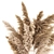 Luxury Pampas Grass Bouquet 3D model small image 5