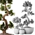 TurboSmooth Bonsai Set with V-Ray & Corona Render 3D model small image 2