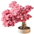 Bonsai Beauty: Indoor Plant 658 3D model small image 1