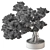 Bonsai Beauty: Indoor Plant 658 3D model small image 4