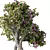 Leafy Trio Plant Set 113 3D model small image 3