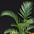 Tropical Areca Palm 3D Collection 3D model small image 6