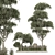 Outdoor Plant 267 3D Model 3D model small image 1