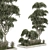 Outdoor Plant 267 3D Model 3D model small image 2