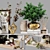 Elegant Decor Set 229 3D model small image 5