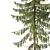 Spruce Tree02 | 3D Model Kit 3D model small image 3