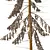 Spruce Tree02 | 3D Model Kit 3D model small image 4
