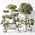 5 Indoor Plant 3D Models 3D model small image 2