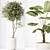 5 Indoor Plant 3D Models 3D model small image 5