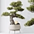 5 Indoor Plant 3D Models 3D model small image 6