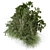 Lush Outdoor Bush Set 3D 3D model small image 2