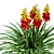 3D Red Hot Poker Collection 3D model small image 4