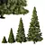 Virtual Spruce Tree Collection 3D model small image 1