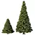Virtual Spruce Tree Collection 3D model small image 2