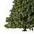 Virtual Spruce Tree Collection 3D model small image 4