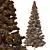 Virtual Spruce Tree Collection 3D model small image 5