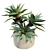 Majestic Potted Agave Plant 3D model small image 2