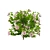 Evergreen Blooming Shrub 3D Collection 3D model small image 5