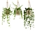 Hanging Ivy Plants Set25 Pot 3D model small image 1