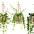 Hanging Ivy Plants Set25 Pot 3D model small image 3