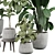 Modern Indoor Plant Decor 3D 3D model small image 2