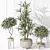 Variety Indoor Plant Set Collection 3D model small image 4