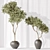 3D Indoor Plant Collection Set 3D model small image 4