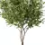 Tall Evergreen Tree Sculpture 3D model small image 3