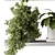 Leafy Oasis - Hanging Jungle Vibe 3D model small image 4