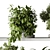 Leafy Oasis - Hanging Jungle Vibe 3D model small image 5