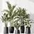 Variety Indoor Plant Set 40 3D model small image 2