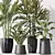 Variety Indoor Plant Set 40 3D model small image 4