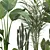 Botanical Oasis Plant Collection 3D model small image 7