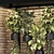  2015 Indoor Hanging Plants Collection 3D model small image 2