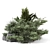 Garden Set Bush Tree Render 3D model small image 6