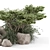 Outdoor Garden Bush Tree Set 3D model small image 3