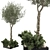 2021 Outdoor Plant Collection 3D model small image 1