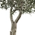 2021 Outdoor Plant Collection 3D model small image 2