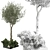 2021 Outdoor Plant Collection 3D model small image 3