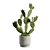 Prickly Pear Cactus Houseplant 3D model small image 5