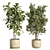 Concrete Pot Indoor Plant Set 3D model small image 2