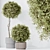 Versatile Olive Tree Set - Yardzen 3D model small image 2