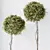 Versatile Olive Tree Set - Yardzen 3D model small image 4