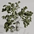  Elegant Plants Bouquet Vase 3D model small image 3