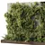 Outdoor Plant 195 Wall Garden 3D model small image 3