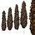Italian Cypress Tree Models Pack 3D model small image 2