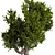 Zen Bonsai Set for Indoors 3D model small image 3