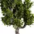 Zen Bonsai Set for Indoors 3D model small image 4
