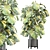  Indoor Plants Collection 2015 3D model small image 1