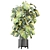  Indoor Plants Collection 2015 3D model small image 4